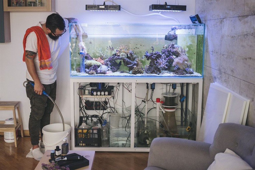 帶過濾的魚缸多久換水合適：魚缸換水頻率的決定因素