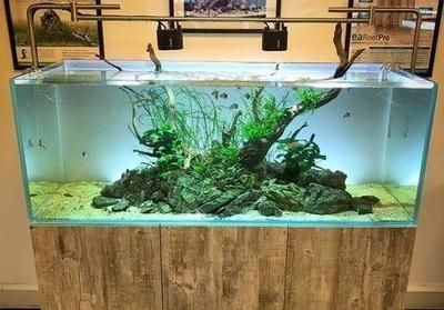 大型景觀魚缸制造過程:大型景觀魚缸制作過程 魚缸百科 第4張 大型景觀魚缸制造過程:大型景觀魚缸制作過程 大型景觀魚缸制造過程:大型景觀魚缸制作過程 魚缸百科 第4張