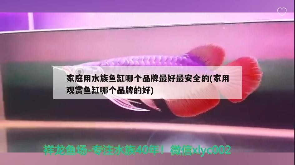 虎魚對著出水口是咋回事？