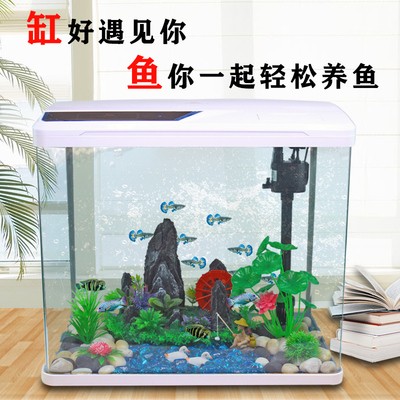 安陽市北關區新吉祥水族館（安陽市北關區新吉祥水族館電話）