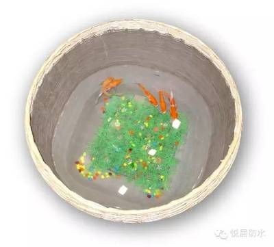 玻璃魚缸底部裂開了怎么辦視頻：如何修補破裂的魚缸底部