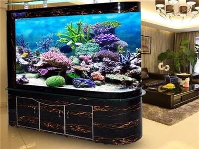 大型魚缸品牌推薦一下：大型魚缸品牌推薦 大型魚缸品牌推薦一下：大型魚缸品牌推薦 魚缸百科 第1張