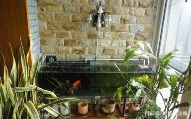 把魚缸放在陽臺的位置好不好呀：把魚缸放在陽臺的位置既有優缺點，是否需要根據個人的具體情況進行綜合考慮