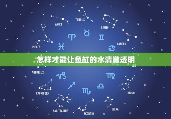 怎樣才能讓魚缸里的水干凈透明，魚缸換水的最佳時間和方法