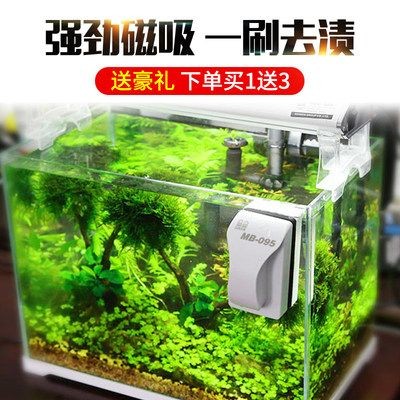 擦魚缸玻璃神器：擦魚缸玻璃神器是養(yǎng)魚者清潔魚缸的重要工具的種類和特點(diǎn)