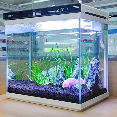 漯河市源匯區(qū)海龍水族館經營部（漯河市源匯區(qū)海龍水族館經營部電話）