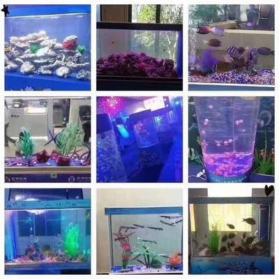大型海洋魚缸定制廠家：大型海洋魚缸定制服務(wù)的廠家