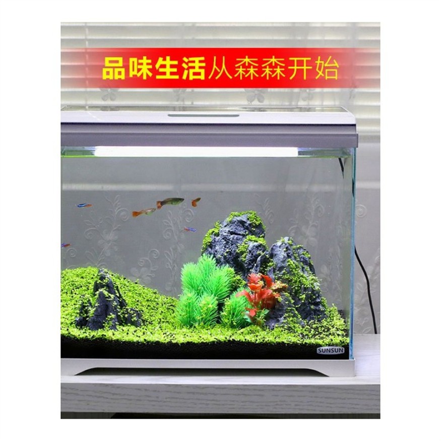 永定區涵雅花卉水族店（永定區涵雅花卉水族店地址）
