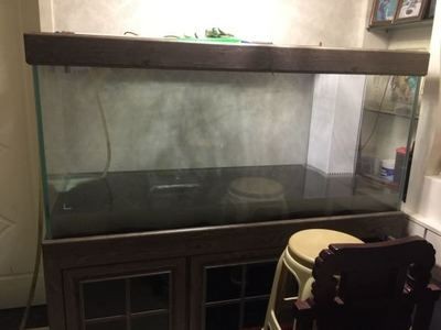 定做的魚缸多久可以加水