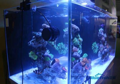 大型海水魚缸設備和價格