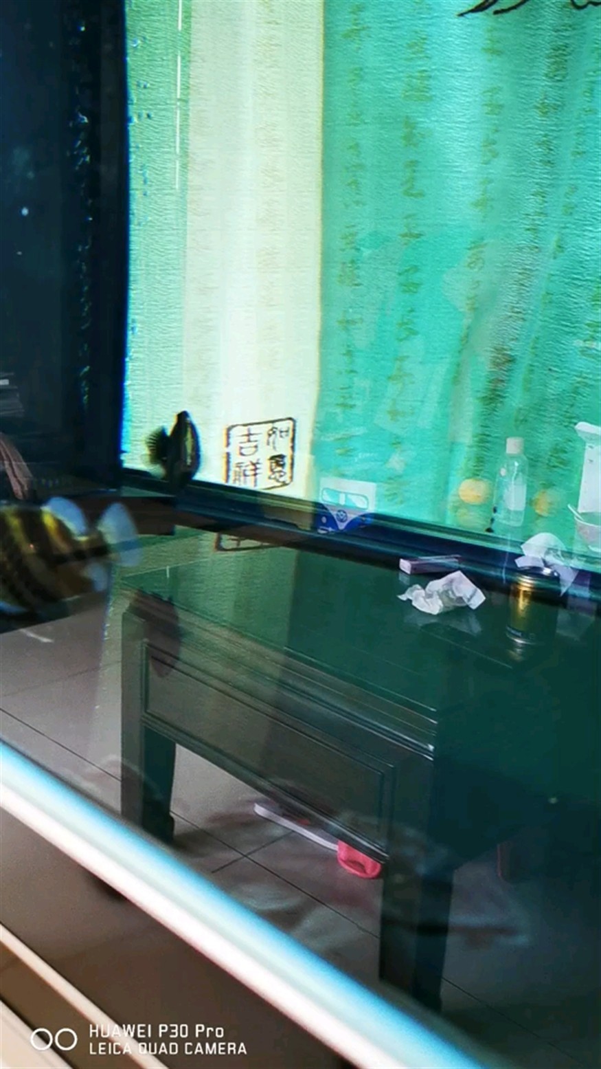 虎魚打架~還要是圍毆那種 虎魚百科 第1張 虎魚打架~還要是圍毆那種 虎魚打架~還要是圍毆那種 虎魚百科 第1張