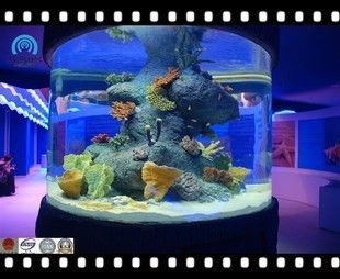大型亞克力魚缸造景注意事項有哪些：大型亞克力魚缸造景的基本步驟 大型亞克力魚缸造景注意事項有哪些：大型亞克力魚缸造景的基本步驟 魚缸百科 第1張