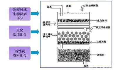 德昌縣亞峰水族（德昌縣亞峰水族館電話）