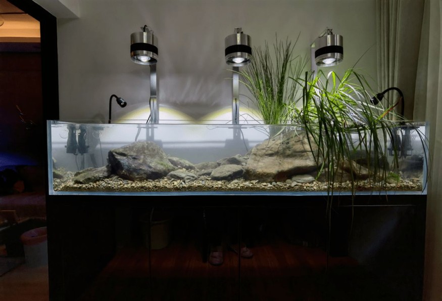 北歐魚缸造景效果圖：北歐風格的魚缸造景效果圖