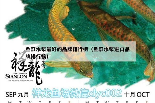 北京碧海郁藍水族店（北京碧海郁藍水族店地址） 北京碧海郁藍水族店（北京碧海郁藍水族店地址） 全國水族館企業名錄 第1張