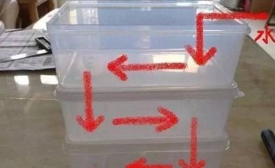 玻璃自己做魚缸可以嗎：如何自制玻璃魚缸