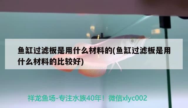 魚缸過濾板是用什么材料的(魚缸過濾板是用什么材料的比較好) 魚缸過濾板是用什么材料的(魚缸過濾板是用什么材料的比較好) 銀龍魚百科
