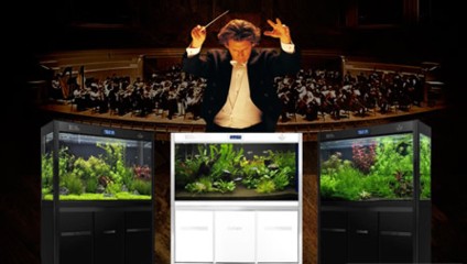 綿竹市劍南鎮(zhèn)洋洋水族店(綿竹市劍南鎮(zhèn)洋洋水族店電話) 全國水族館企業(yè)名錄 第1張 綿竹市劍南鎮(zhèn)洋洋水族店(綿竹市劍南鎮(zhèn)洋洋水族店電話) 綿竹市劍南鎮(zhèn)洋洋水族店(綿竹市劍南鎮(zhèn)洋洋水族店電話) 全國水族館企業(yè)名錄 第1張
