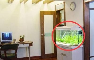 玻璃魚缸買回來直接養魚行嗎：養魚可以直接使用新購買的玻璃魚缸嗎？ 玻璃魚缸買回來直接養魚行嗎：養魚可以直接使用新購買的玻璃魚缸嗎？ 魚缸百科 第3張