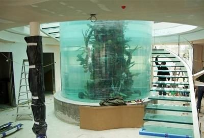 大桶水做魚缸好嗎：大桶水養魚的優缺點