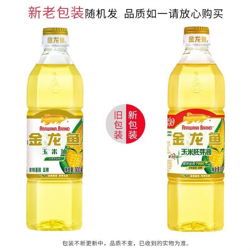 金龍魚常溫要保持多少_
