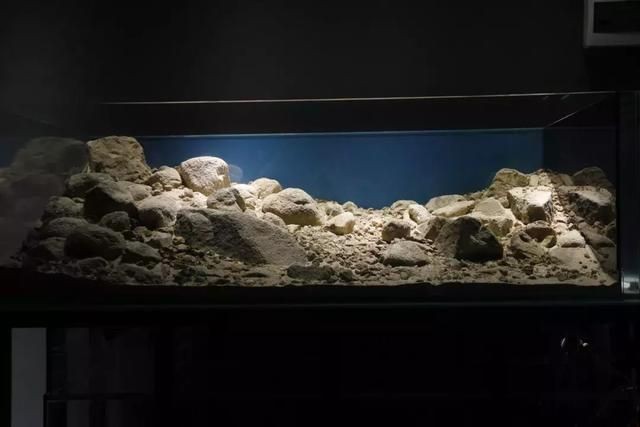 大型生態(tài)魚缸造景墻效果圖：如何設(shè)計一個大型生態(tài)魚缸造景墻