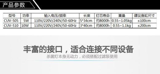 怎樣識別真假印尼紅龍魚(印尼紅龍好嗎)