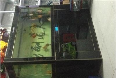 成品魚缸進行切割