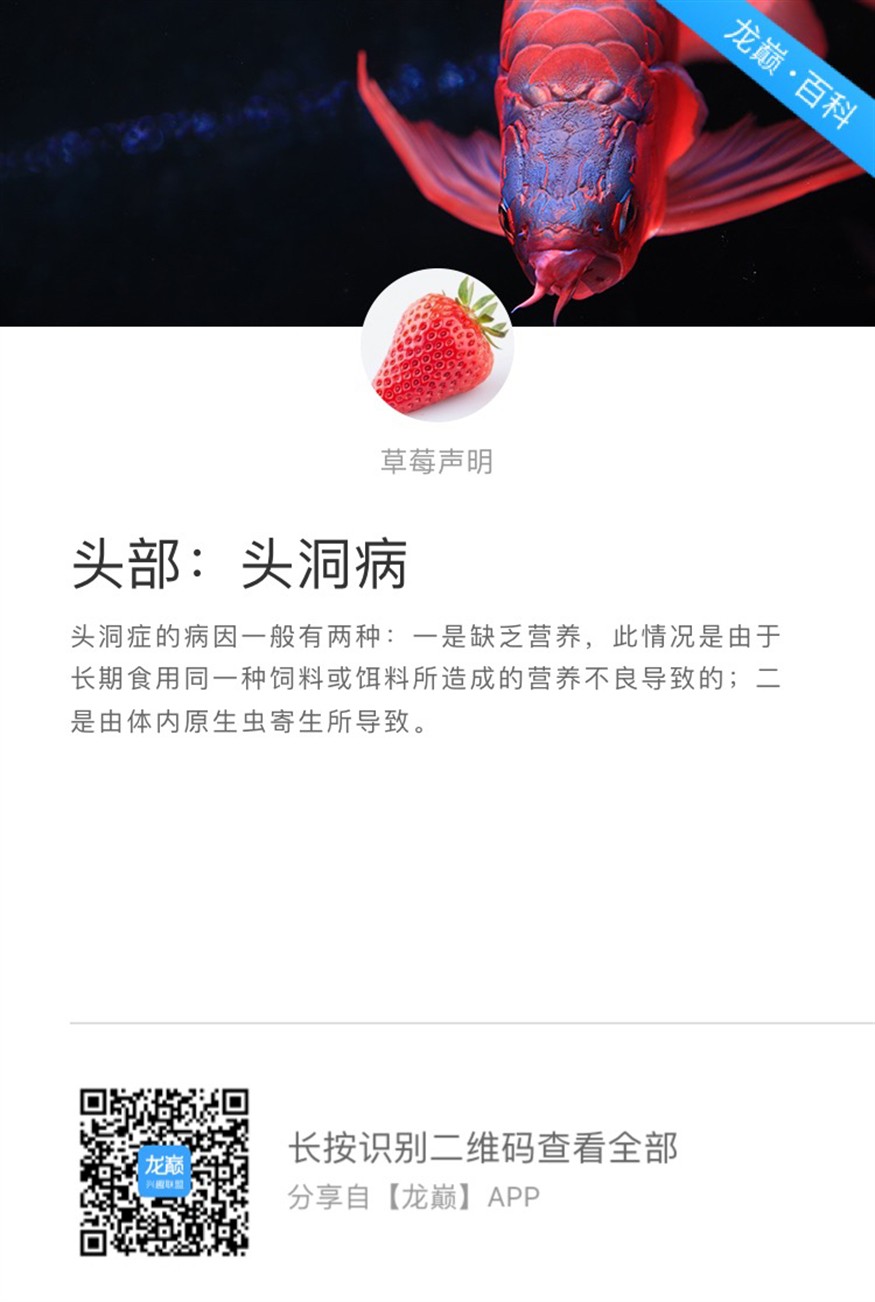 頭洞病虎魚和金龍都有了