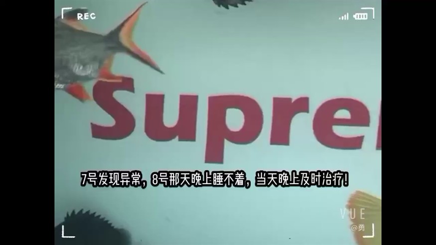 養(yǎng)魚疾病防治及時(shí)(虎魚腸炎)