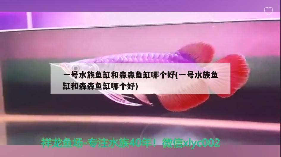 給它們找個好人家