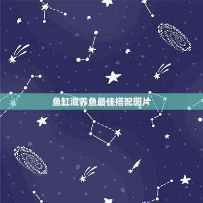 南京鑫海洋水族館上元大街店（南京鑫海洋水族館上元大街店怎么樣） 南京鑫海洋水族館上元大街店（南京鑫海洋水族館上元大街店怎么樣） 全國水族館企業名錄 第1張