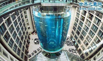 柏林魚缸爆炸視頻：柏林魚缸爆炸事件后續處理