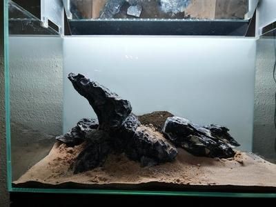 打了蠟的石頭能放魚缸嗎有毒嗎：關(guān)于打了蠟的石頭能否放魚缸，答案是,不推薦不推薦