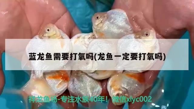 曲靖魚缸定制哪家好點，曲靖漁具批發市場