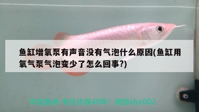滄州魚缸搬運公司電話地址查詢：滄州魚缸搬運公司電話地址查詢，滄州哪有賣龍魚的電話地址查詢 滄州魚缸搬運公司電話地址查詢：滄州魚缸搬運公司電話地址查詢，滄州哪有賣龍魚的電話地址查詢 紅龍魚百科 第1張
