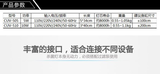 南關區圈樓花魚古玩市場麗源水族行（圈樓花鳥魚市場）