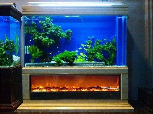 大魚缸怎么換水：大魚缸換水步驟和注意事項(xiàng)