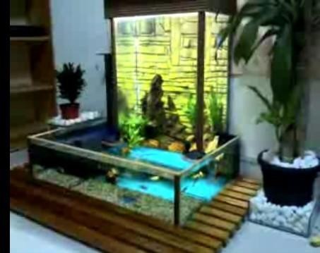 漳平市藍海水族館（漳平市藍海水族館電話） 漳平市藍海水族館（漳平市藍海水族館電話） 全國水族館企業名錄 第1張