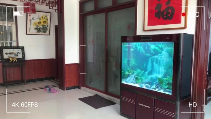 可麗愛魚缸能用幾年：可麗愛魚缸使用壽命受多因素如材料質量、水質管理、維護頻率等影響