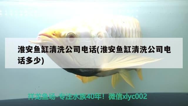 淮安魚缸清洗公司電話(淮安魚缸清洗公司電話多少)
