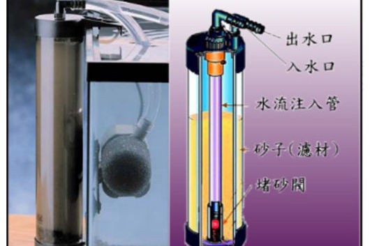 蘇永權