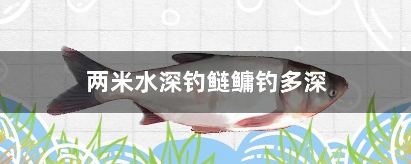 兩米水深釣鰱鳙釣多深