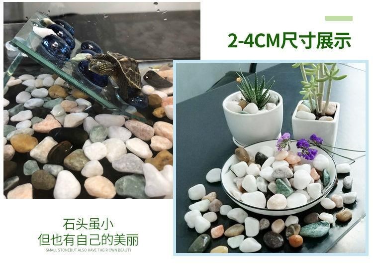 魚(yú)缸造景石頭選擇指南：如何選擇魚(yú)缸造景石頭 魚(yú)缸造景石頭選擇指南：如何選擇魚(yú)缸造景石頭 魚(yú)缸百科 第1張