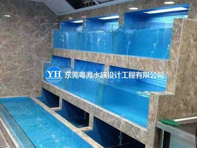定做海鮮池魚缸廠家直銷價格:定做海鮮池魚缸廠家直銷價格大致5600元至5600元 魚缸百科 第1張 定做海鮮池魚缸廠家直銷價格:定做海鮮池魚缸廠家直銷價格大致5600元至5600元 定做海鮮池魚缸廠家直銷價格:定做海鮮池魚缸廠家直銷價格大致5600元至5600元 魚缸百科 第1張