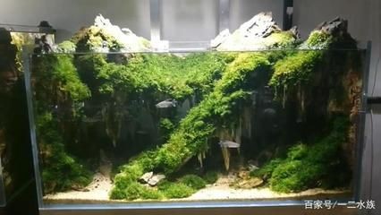 口碑最好的魚缸過濾器排名，家和地區建立起口碑對比如何選擇