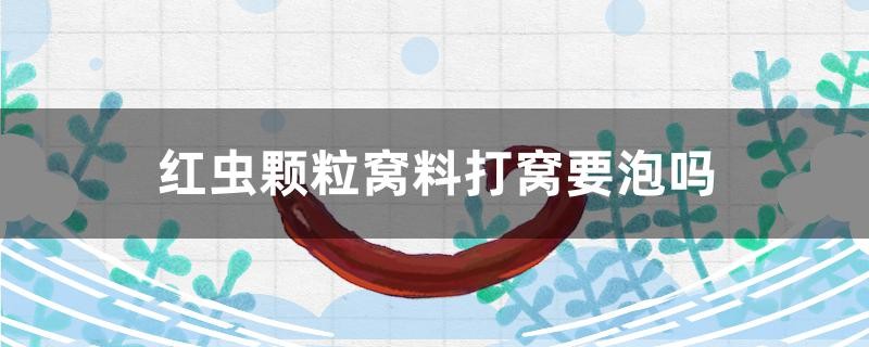 魚缸過濾器選購指南:自制魚缸過濾器魚缸上置過濾器對于養(yǎng)魚愛好者的必備知識 紅蟲顆粒窩料打窩要泡嗎 紅龍魚百科 紅蟲顆粒窩料打窩要泡嗎 紅蟲顆粒窩料打窩要泡嗎 紅龍魚百科
