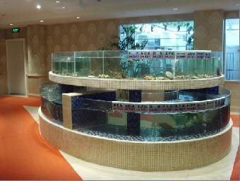 慈溪哪里有賣魚缸的市場：慈溪市內幾個可能有賣魚缸的市場 慈溪哪里有賣魚缸的市場：慈溪市內幾個可能有賣魚缸的市場 魚缸百科 第3張