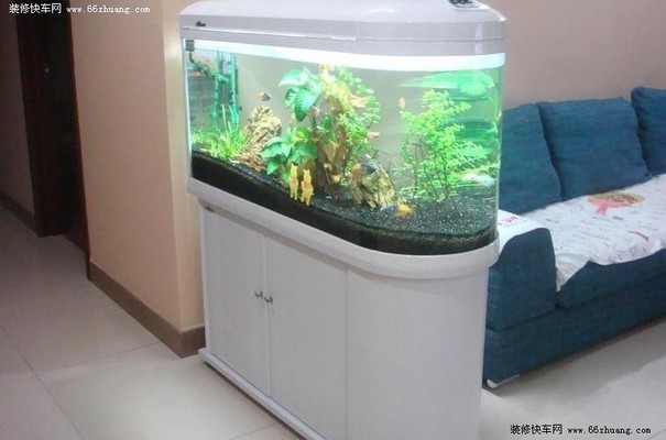 相城區元和桐蕊水族店（相城元和文化創意產業園）