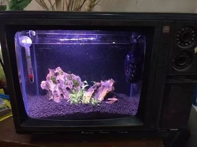 帶蓋魚缸改造：帶蓋魚缸上濾改造